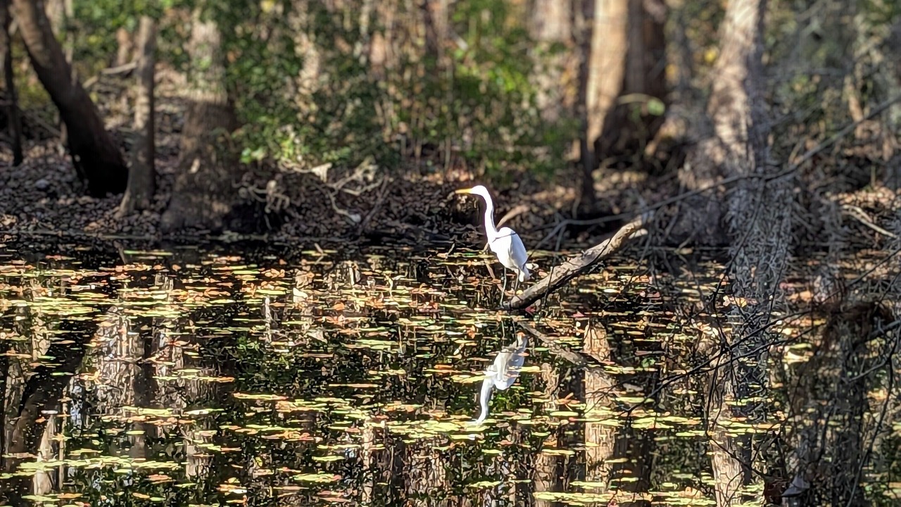 Photo of Others in Lake Waccamaw
