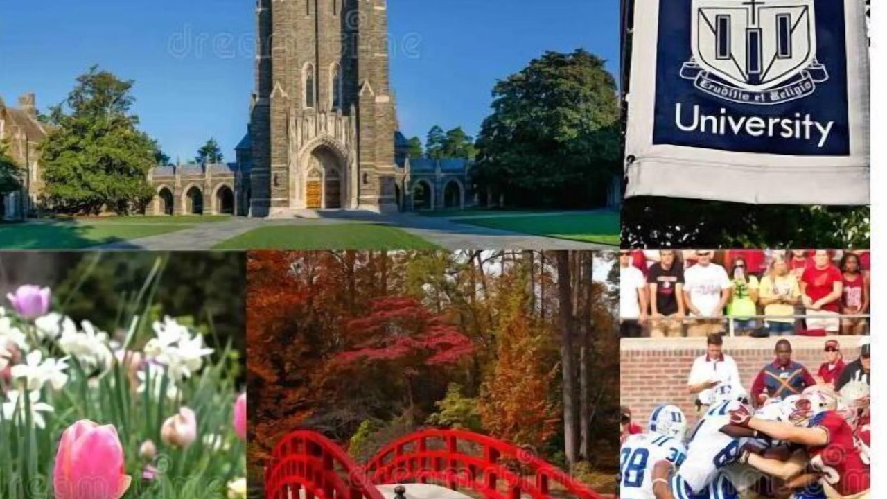 Photo of Others in Durham