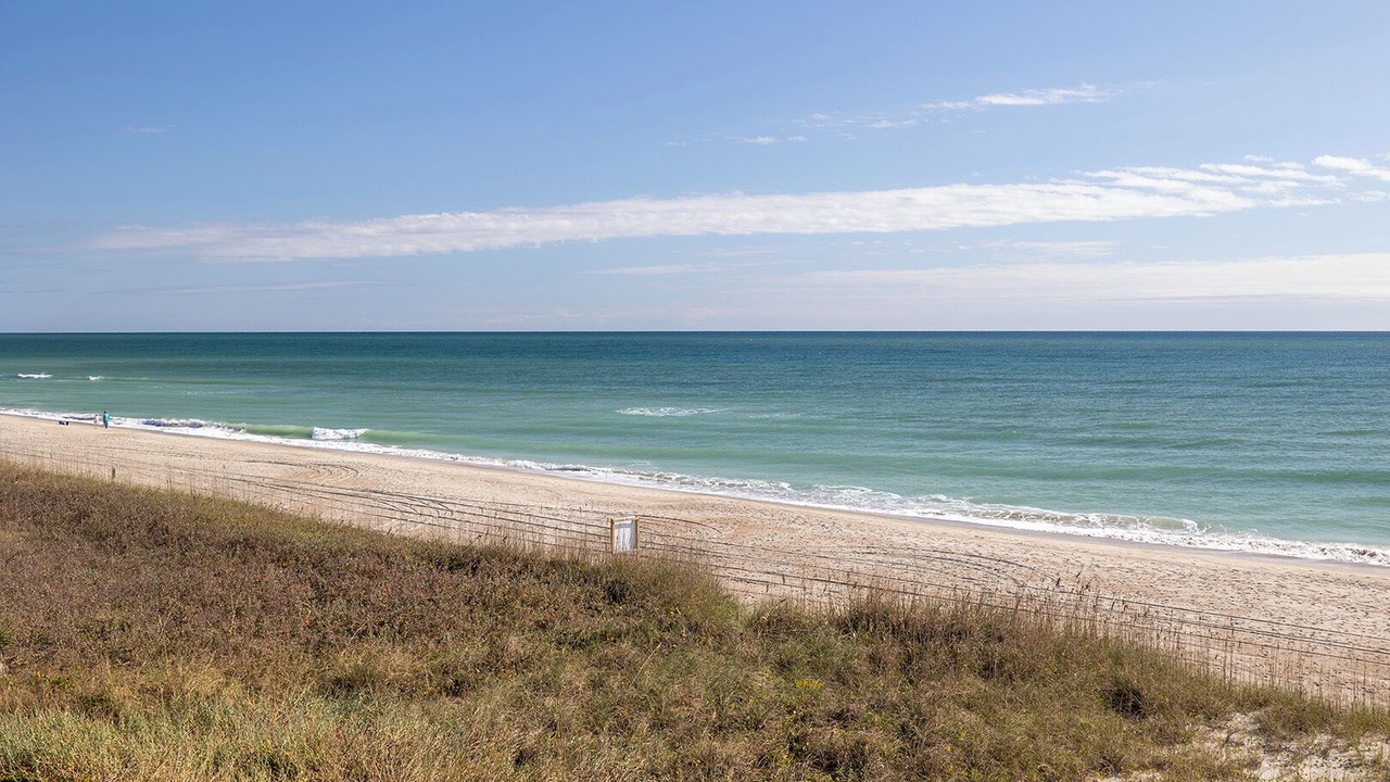 Photo of Others in Indian Beach