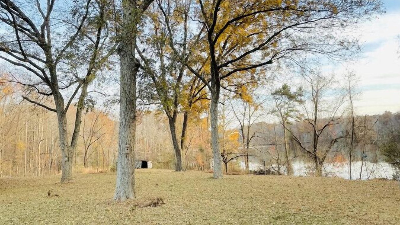 Photo of Others in Reidsville