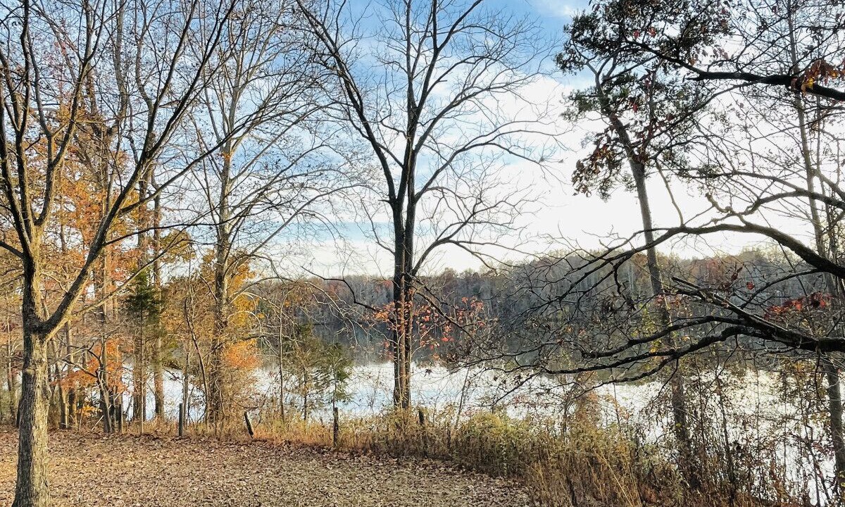 Photo of Outdoor in Reidsville