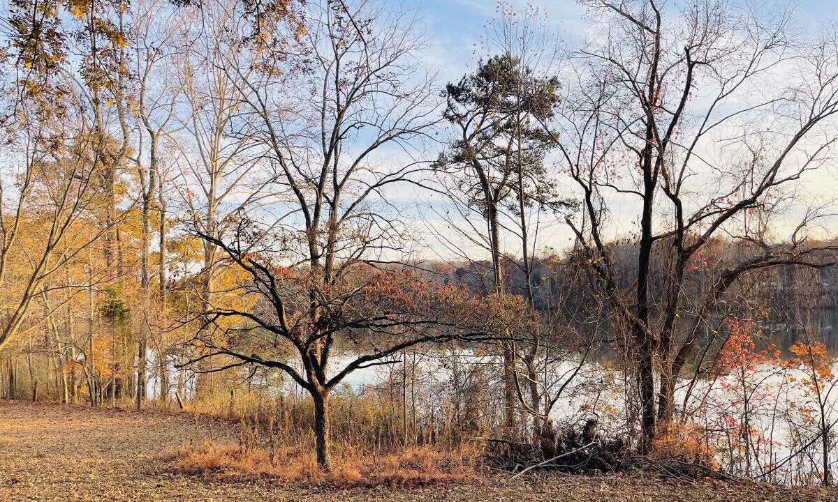 Photo of Outdoor in Reidsville