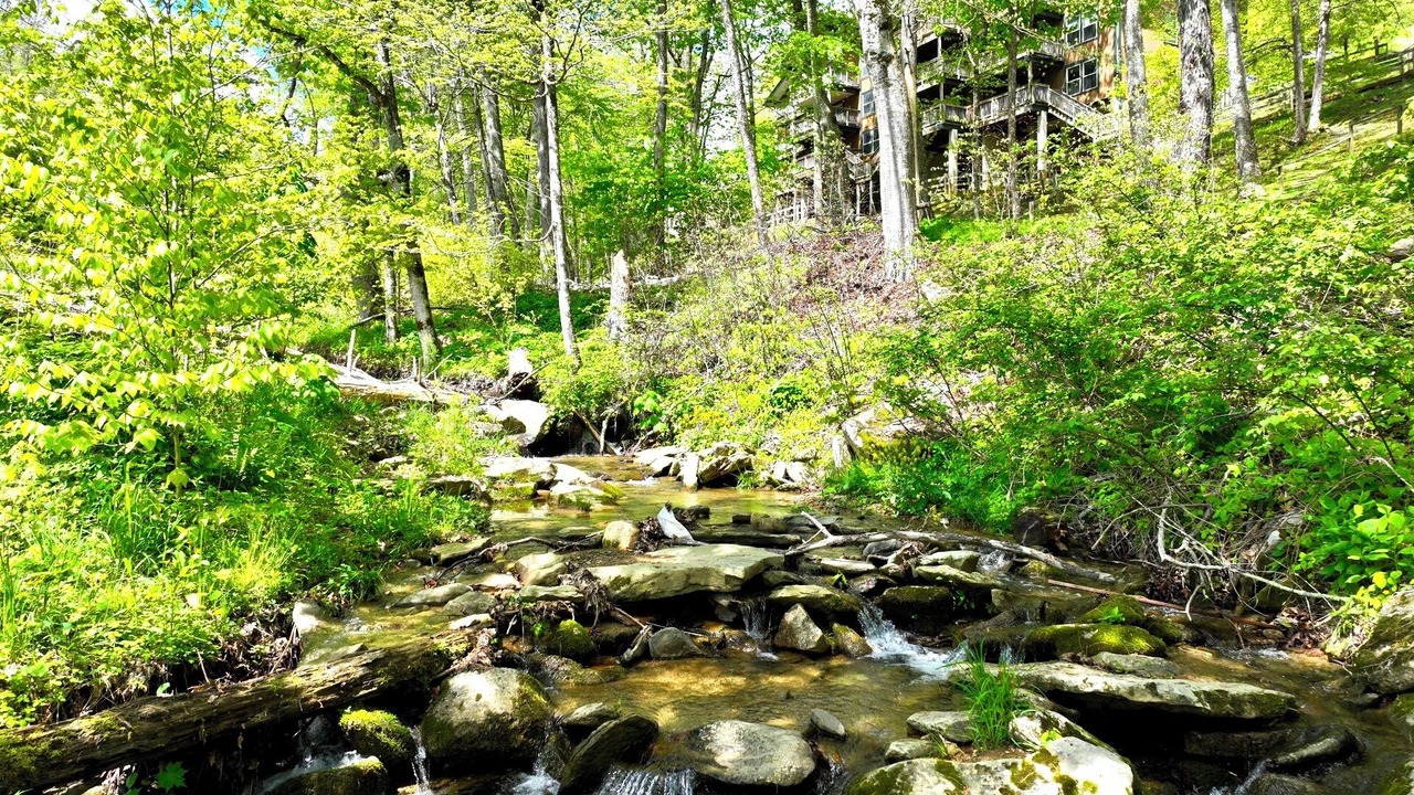 Photo of Outdoor in Sugar Mountain