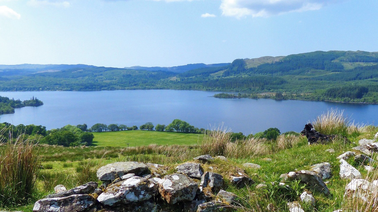 Photo of Others in Dalmally