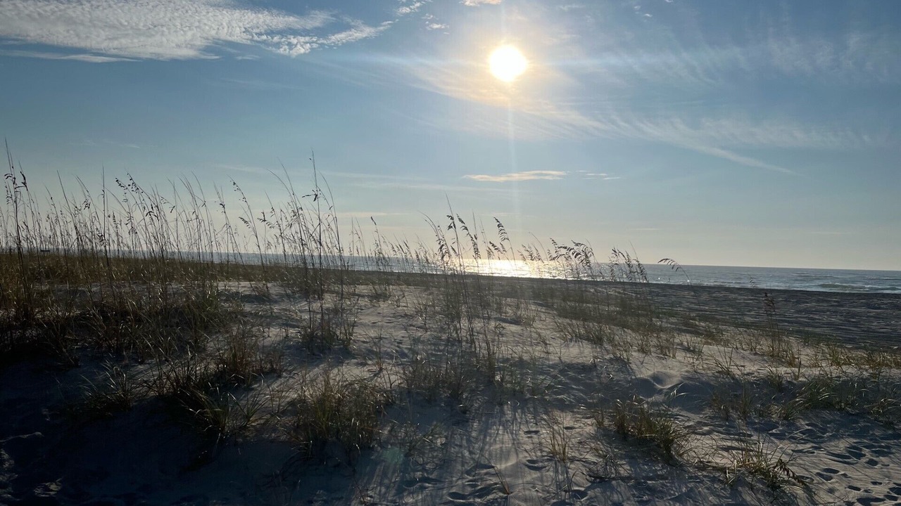 Photo of Others in Emerald Isle