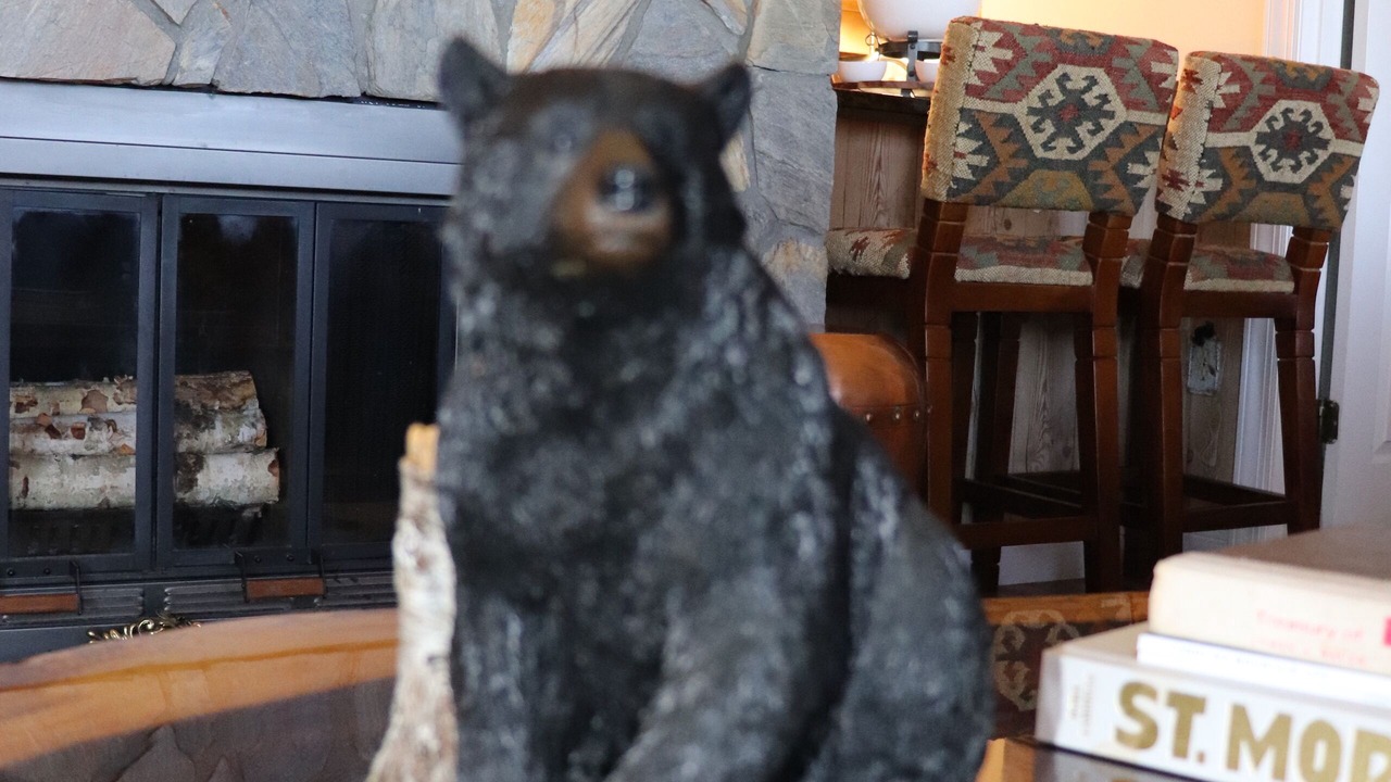 Photo of Others in Sugar Mountain