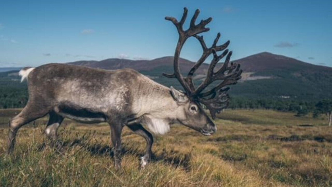 Photo of Others in Doune