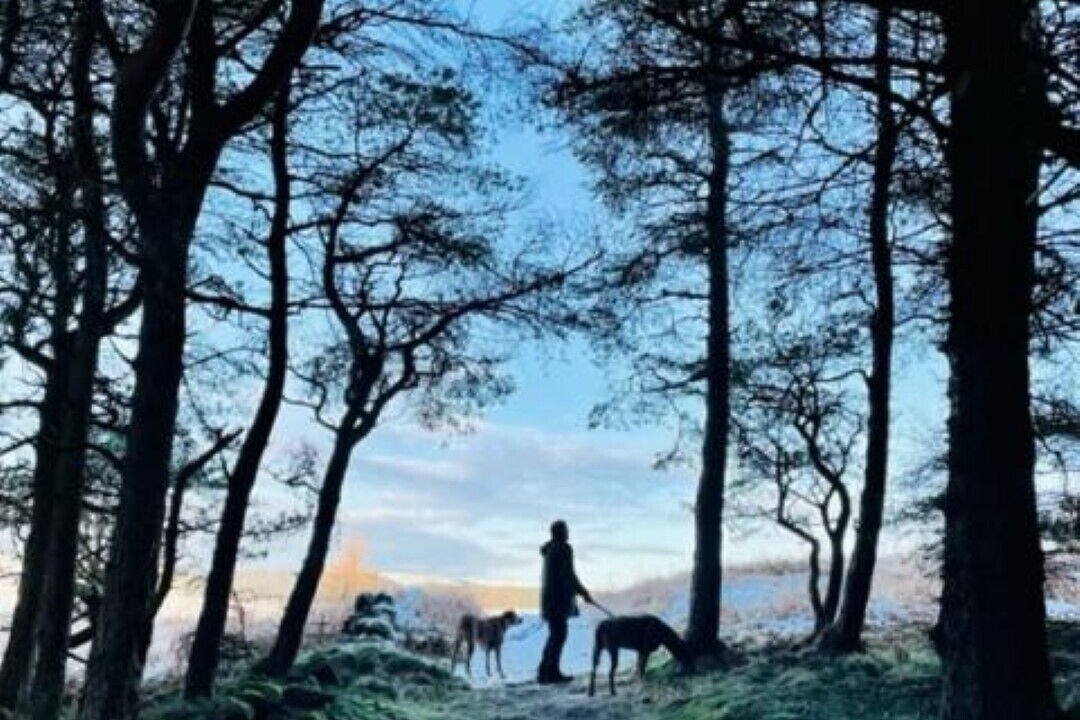 Photo of Others in Doune