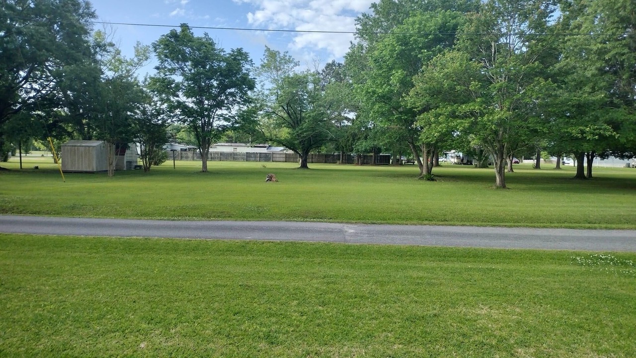 Photo of Outdoor in Newport