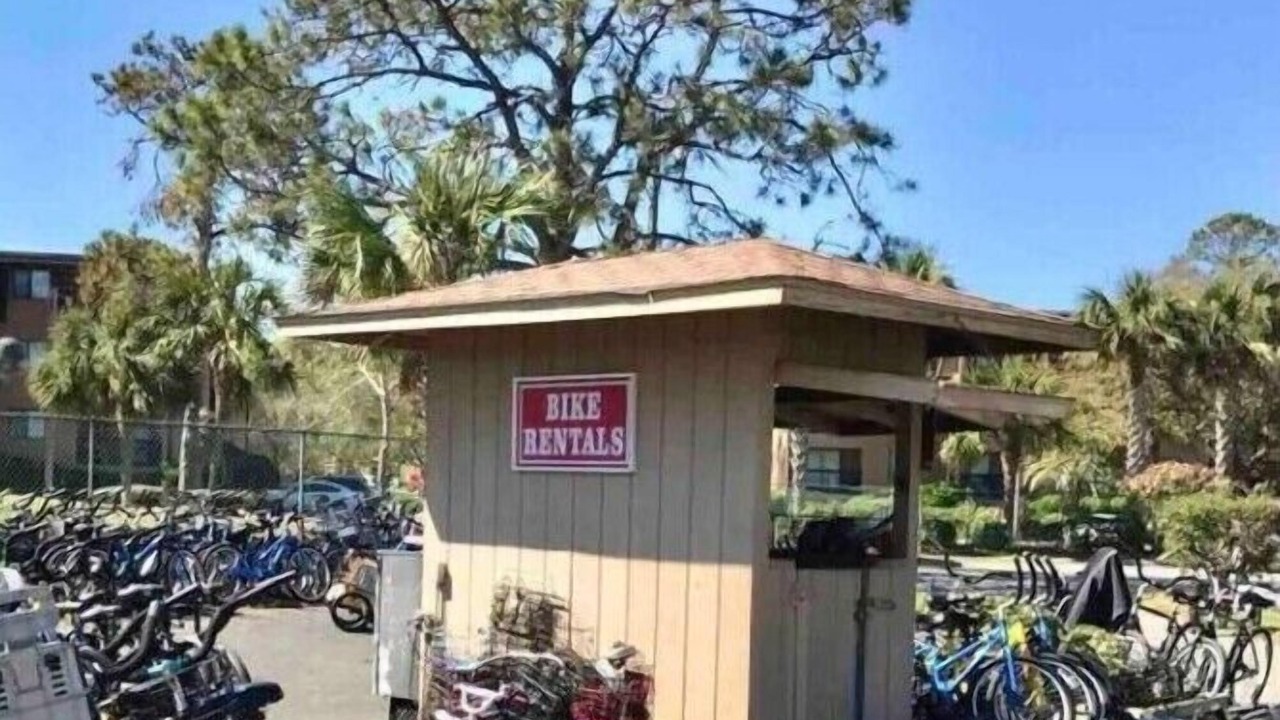 Photo of Outdoor in Palmetto Dunes