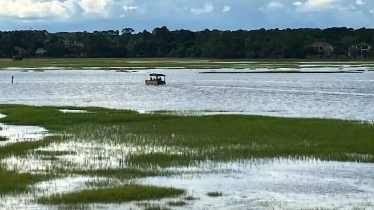 Photo of Others in Palmetto Dunes