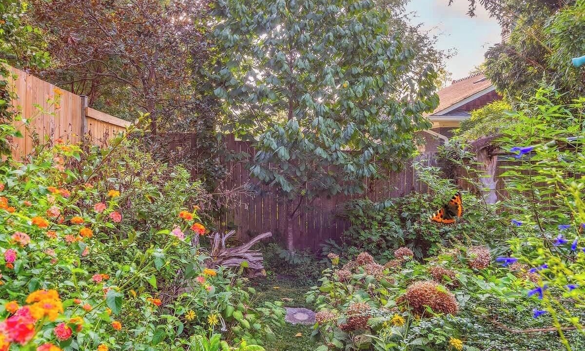 Photo of Outdoor in Belmont - Hillsboro