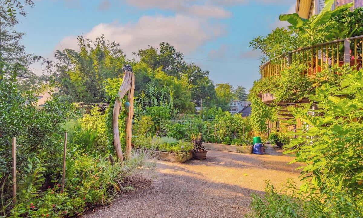 Photo of Outdoor in Belmont - Hillsboro