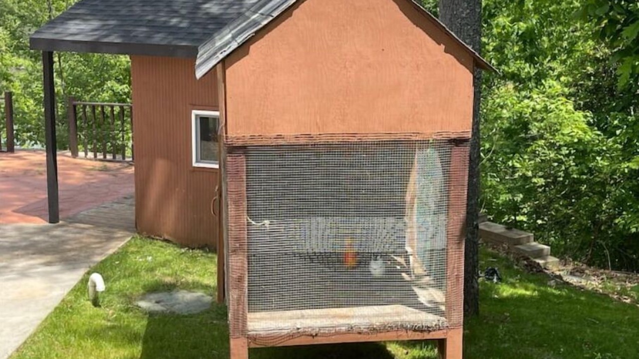 Photo of Outdoor in Morganton