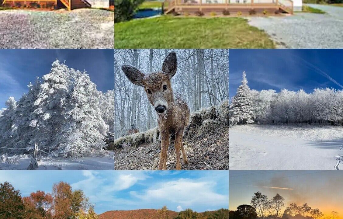 Photo of Others in Elk Park