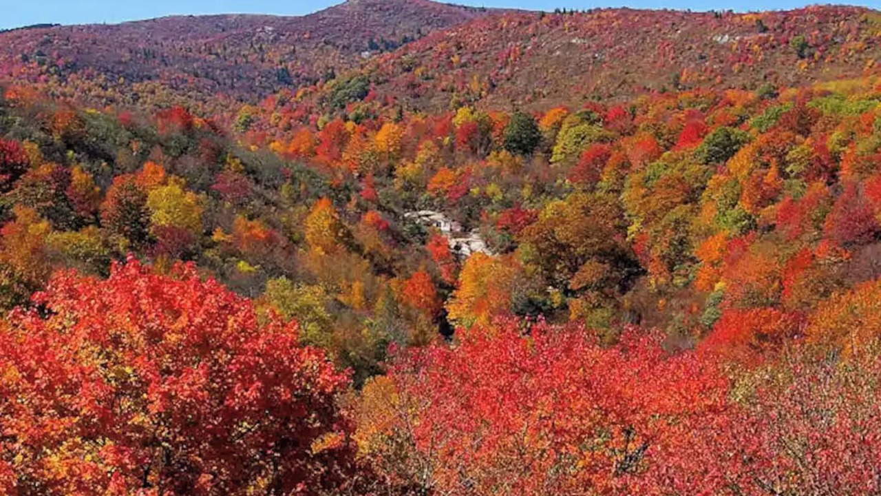 Photo of Others in Mars Hill