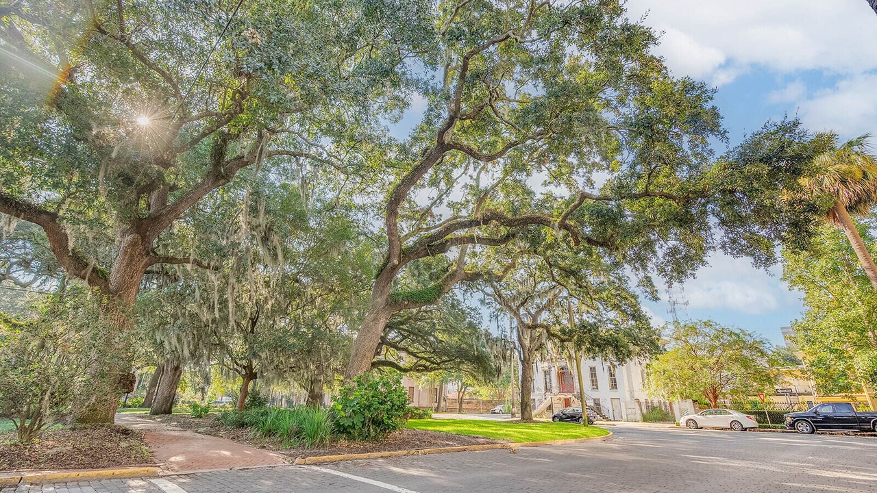 Photo of Outdoor in Historic Downtown Savannah