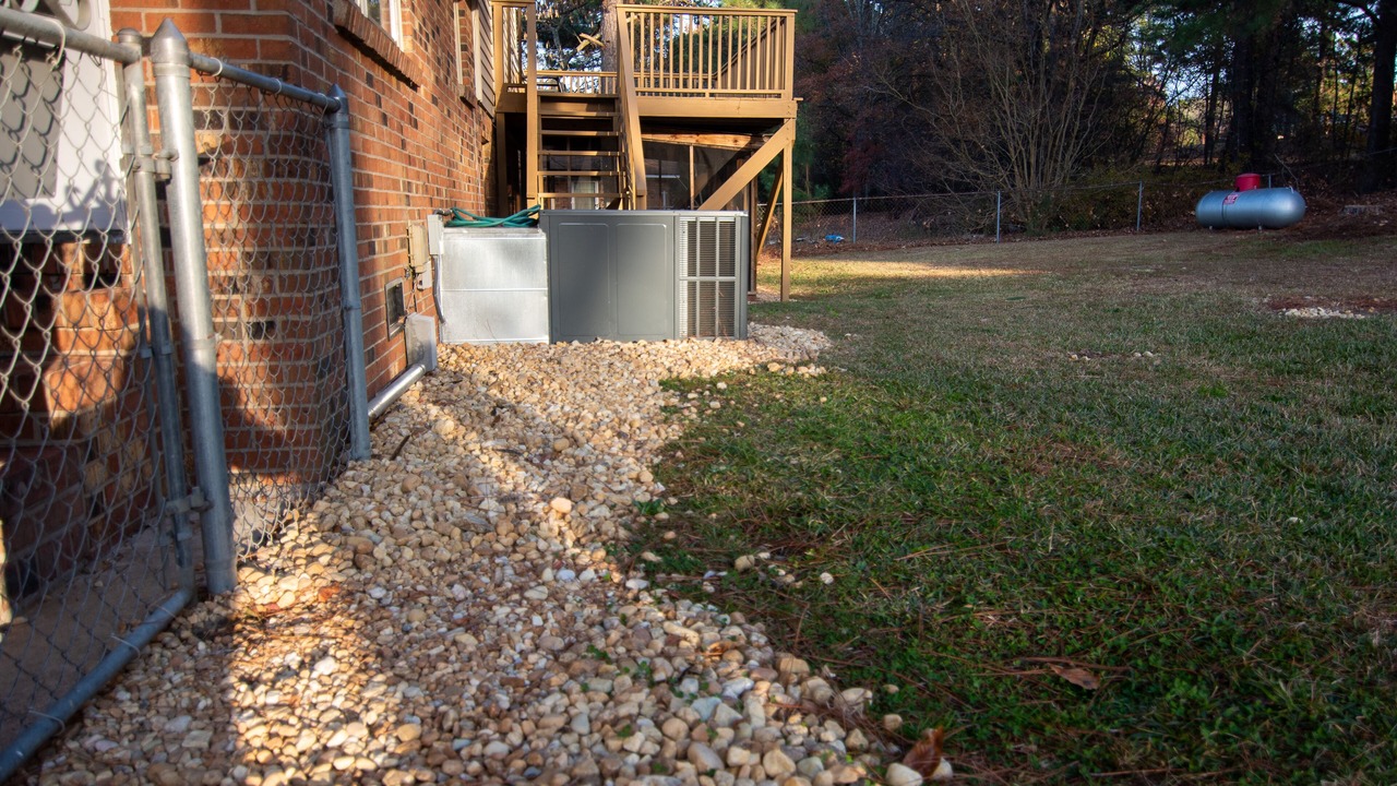 Photo of Outdoor in Pine Forest