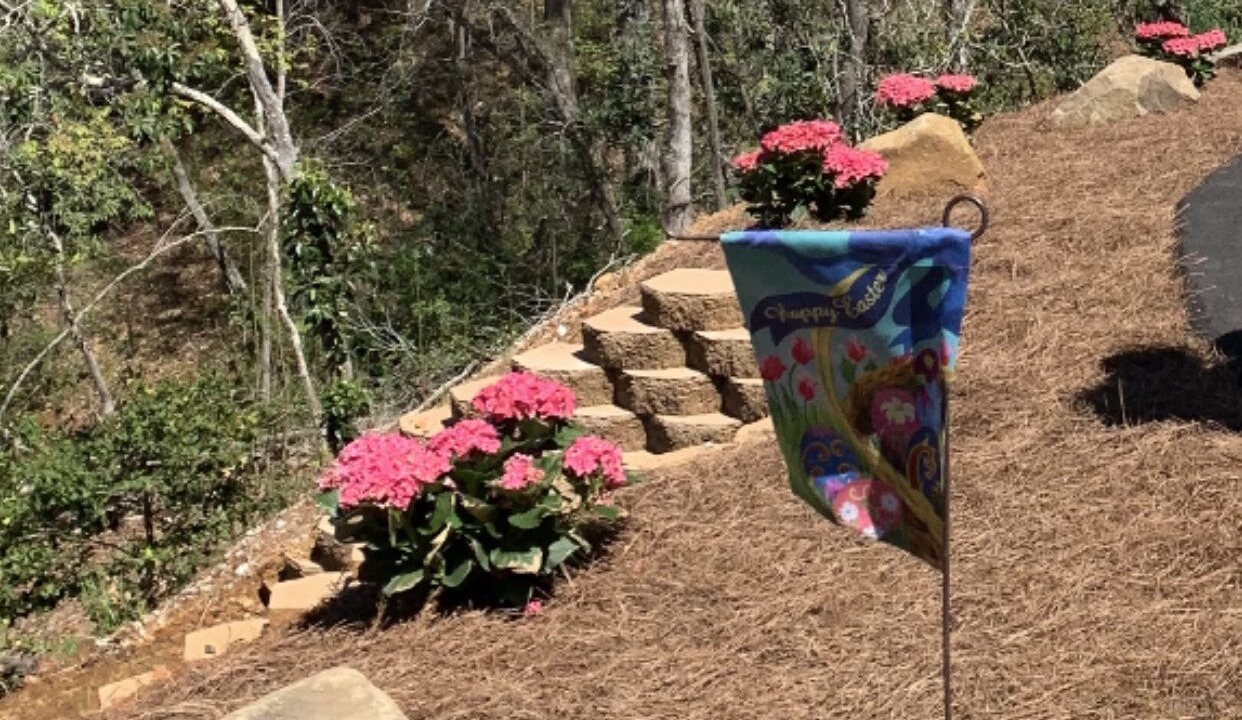 Photo of Outdoor in Franklin