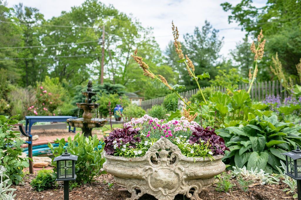 Photo of Outdoor in Weaverville