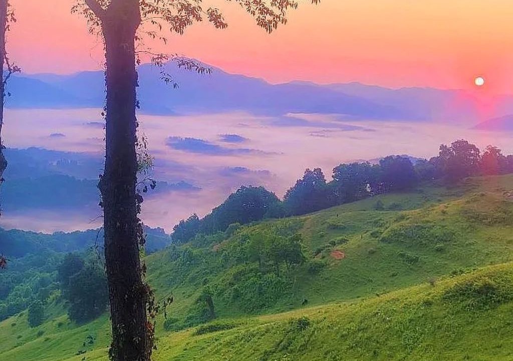 Photo of Outdoor in Waynesville