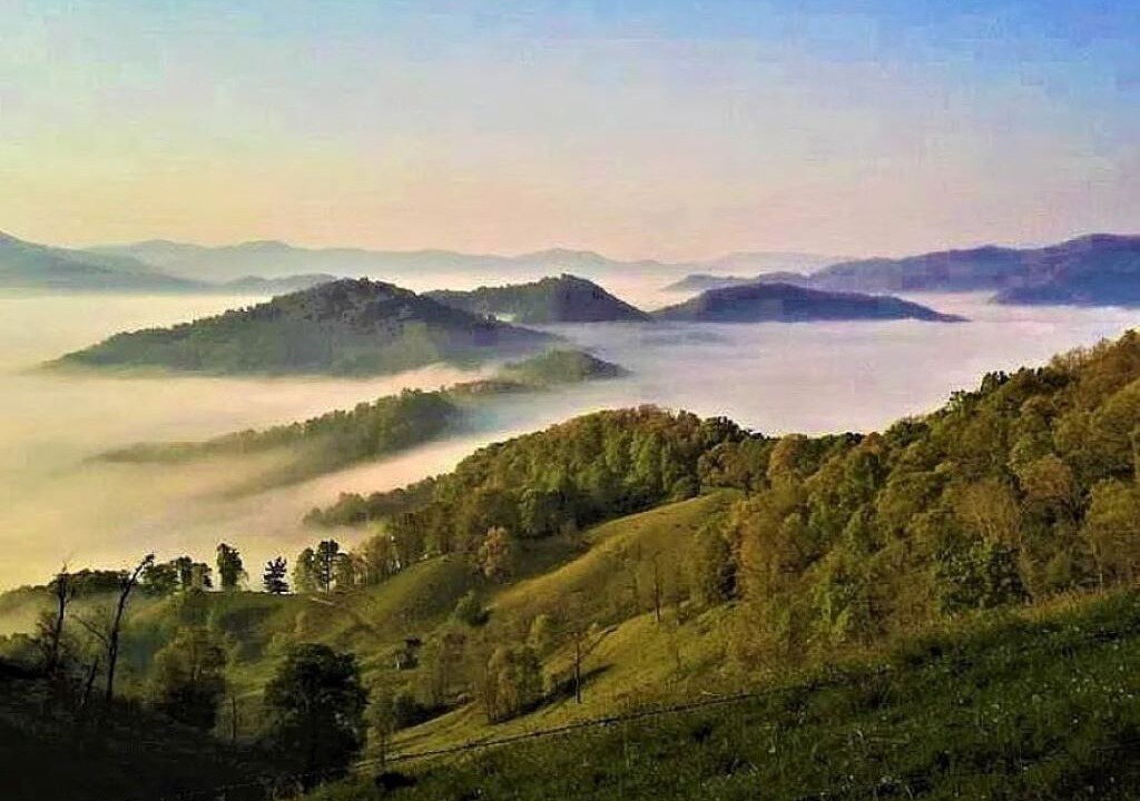 Photo of Others in Waynesville