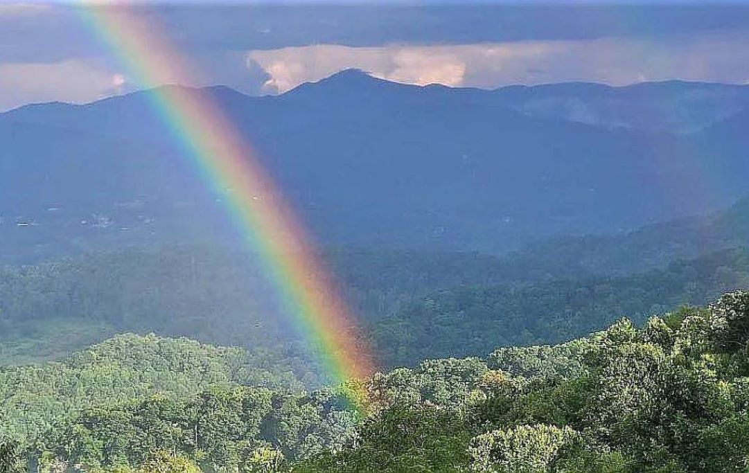 Photo of Others in Waynesville