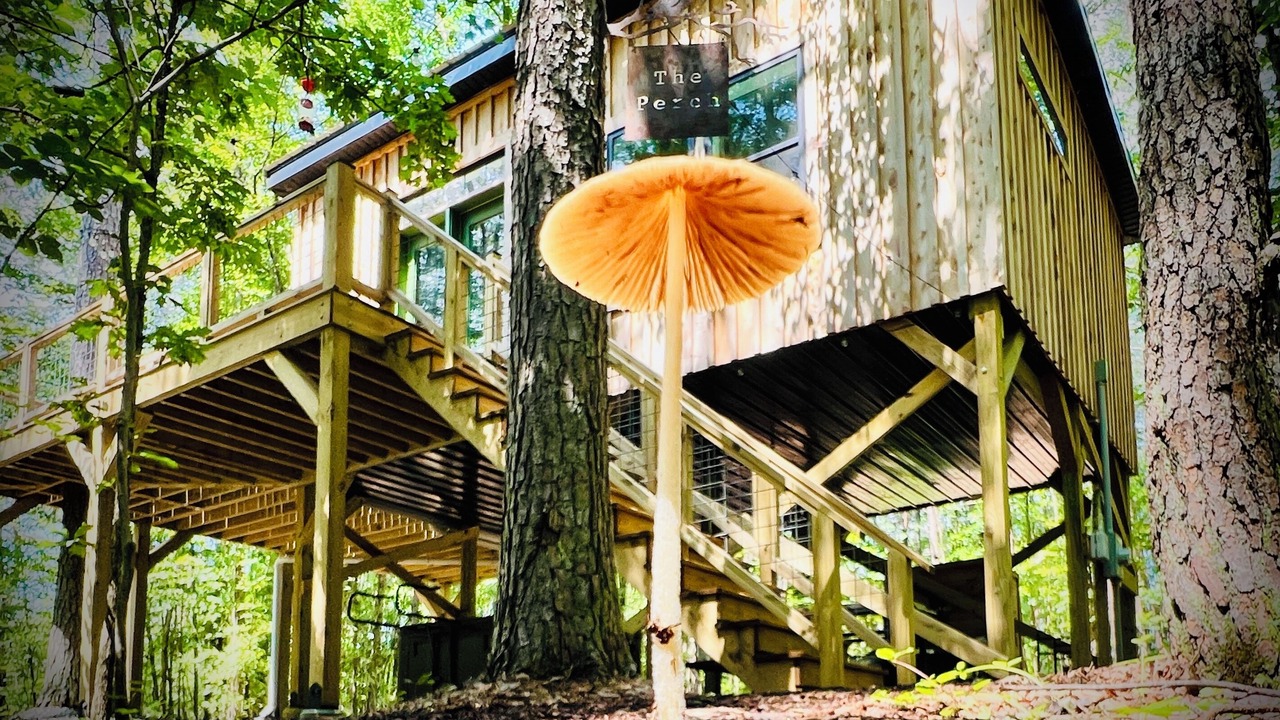 Photo of Outdoor in Connellys Springs