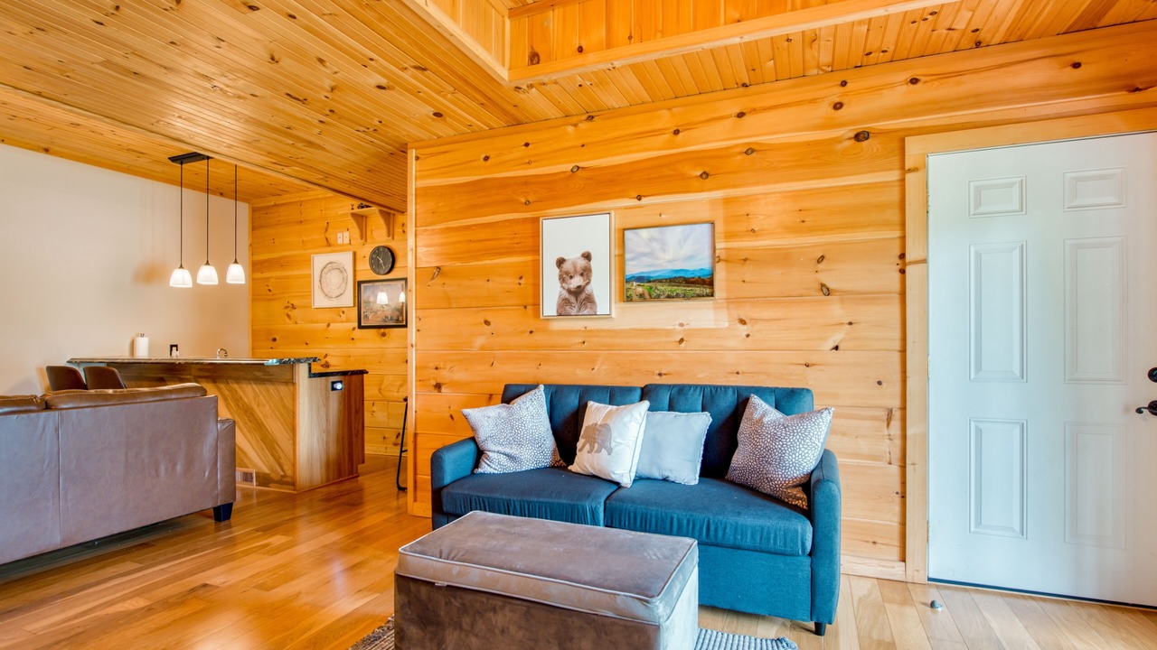 Photo of Livingroom in Mills River