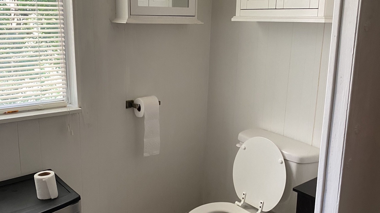 Photo of Bathroom in Mills River