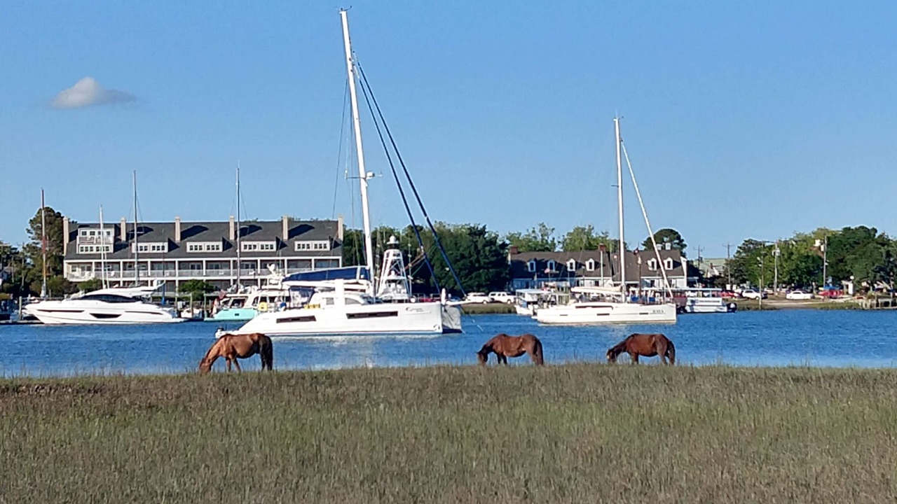 Photo of Others in Morehead City