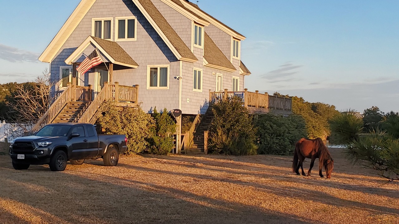Photo of Outdoor in Carova Beach