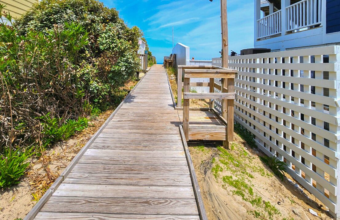 Photo of Others in Carolina Dunes