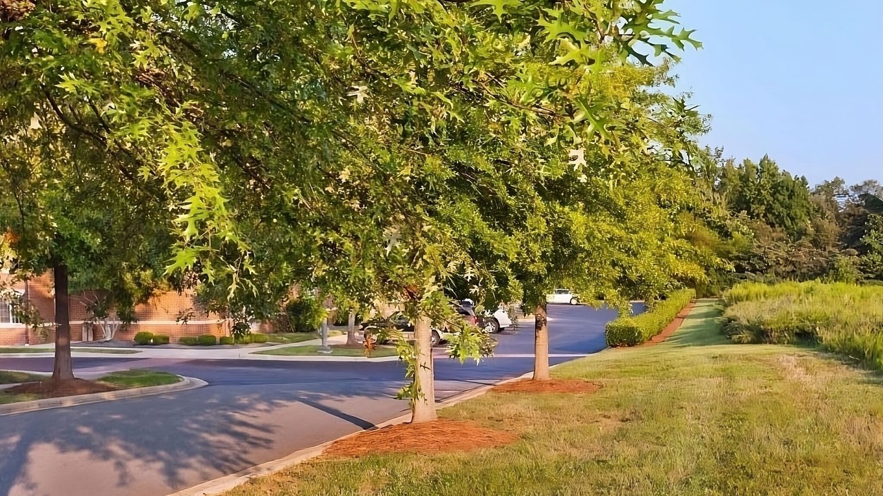 Photo of Outdoor in Newell
