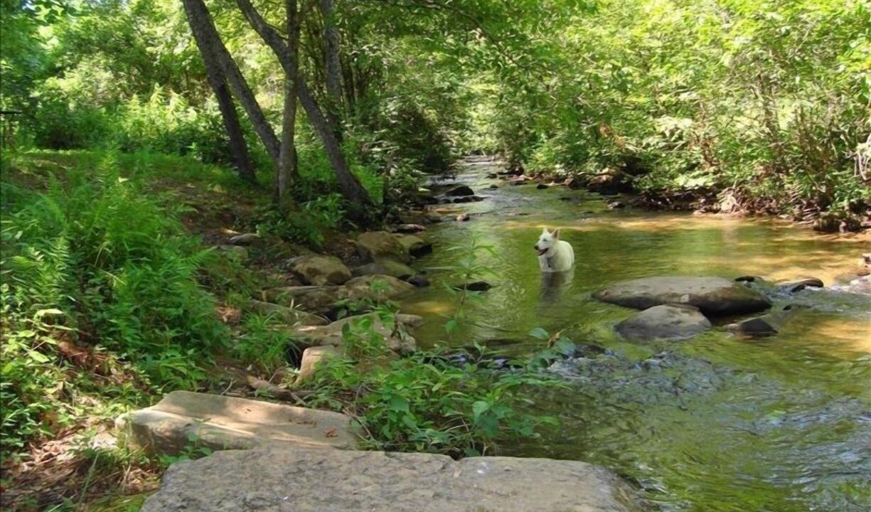 Photo of Outdoor in Unaka
