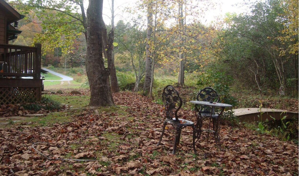 Photo of Outdoor in Unaka