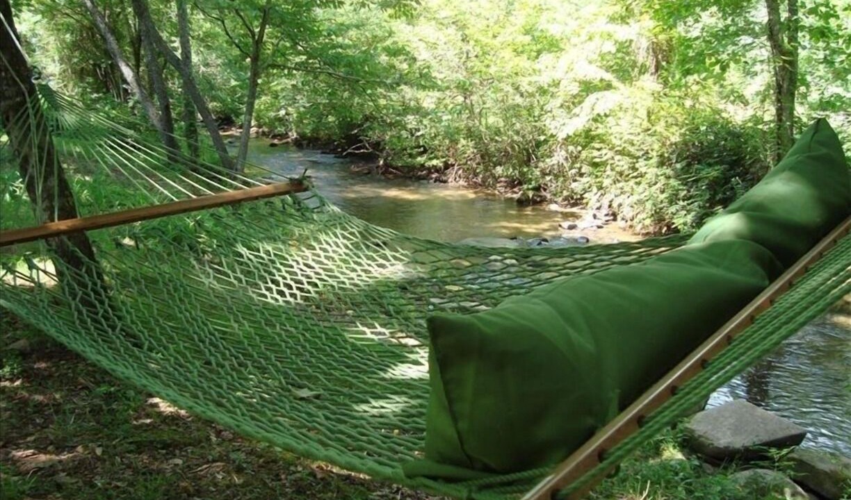 Photo of Outdoor in Unaka