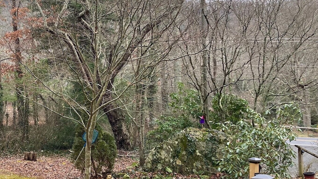 Photo of Others in Skyland