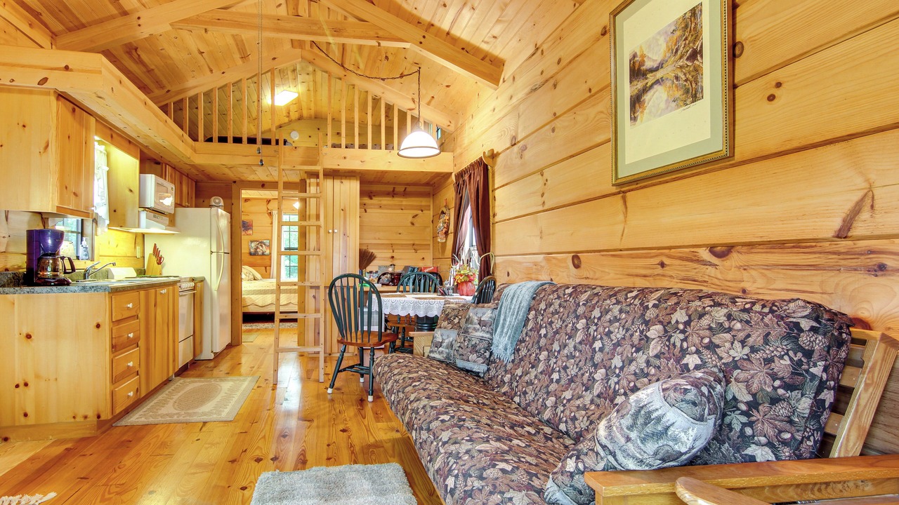 Photo of Livingroom in Hendersonville