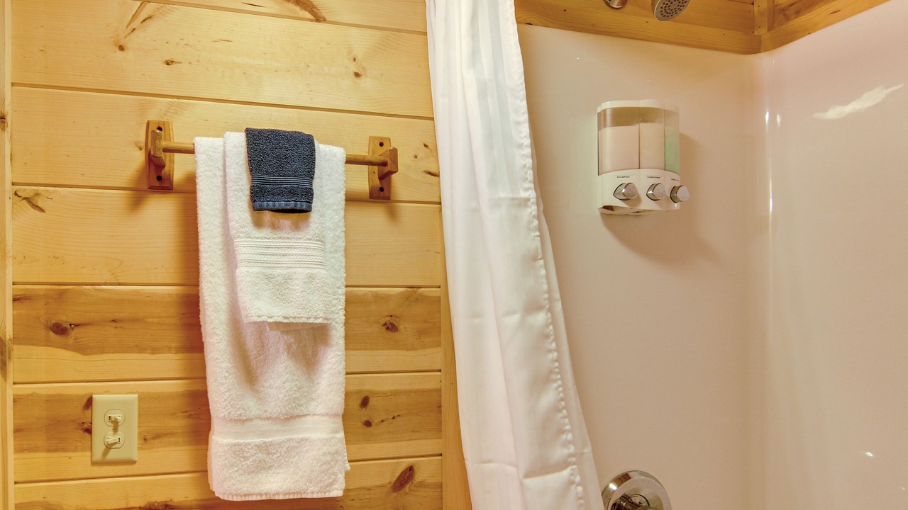 Photo of Bathroom in Hendersonville