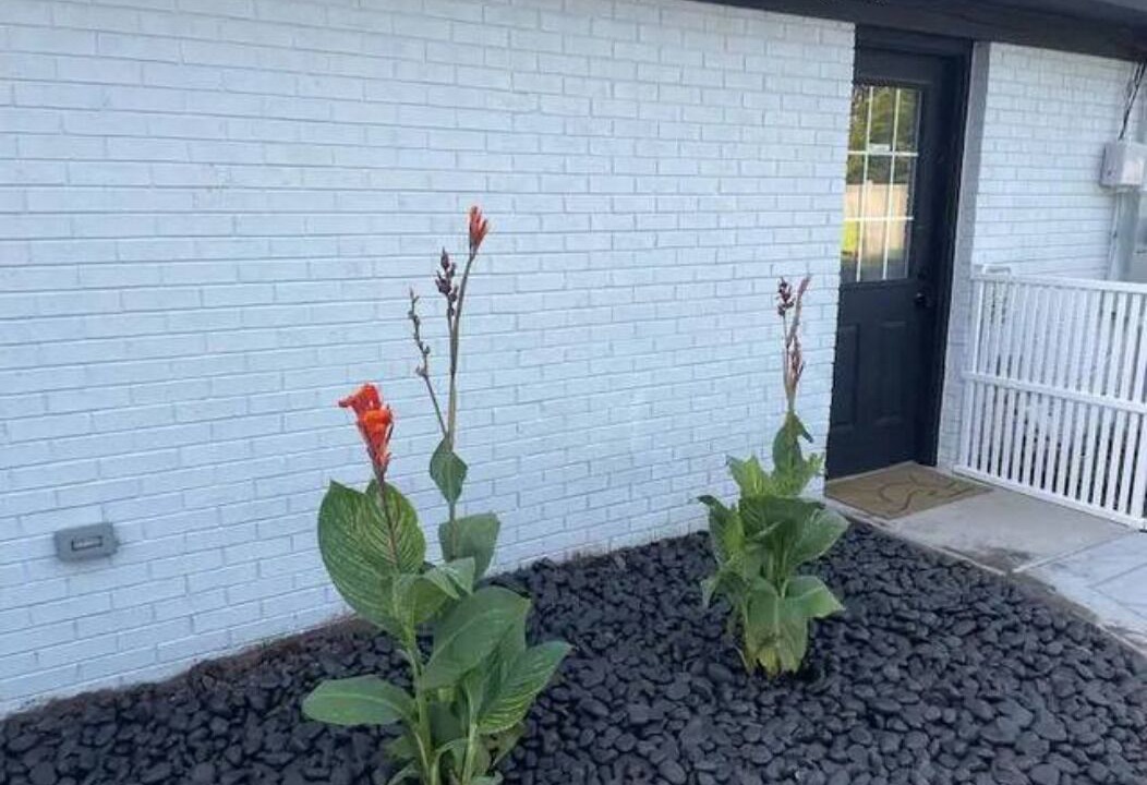 Photo of Outdoor in Kings Grant