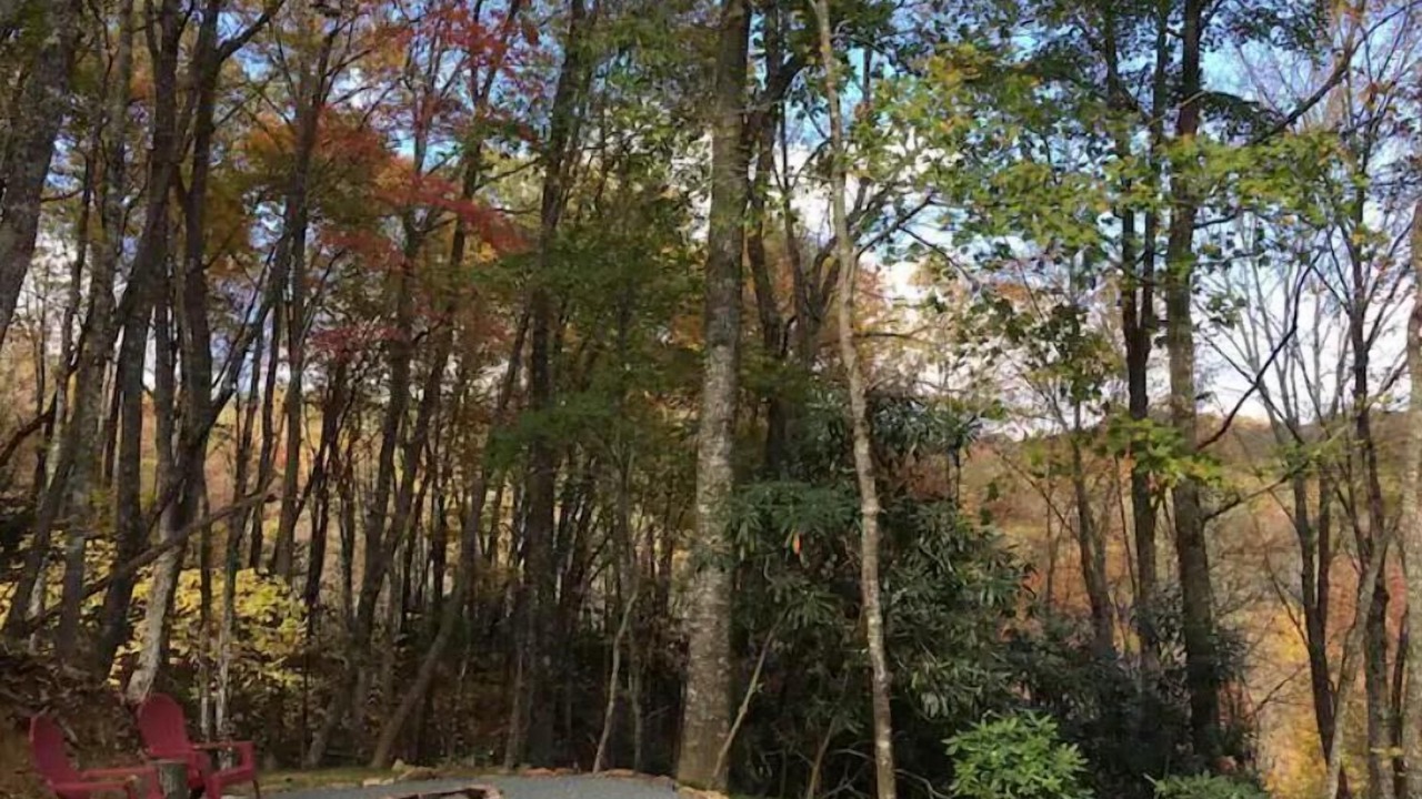 Photo of Others in Bryson City
