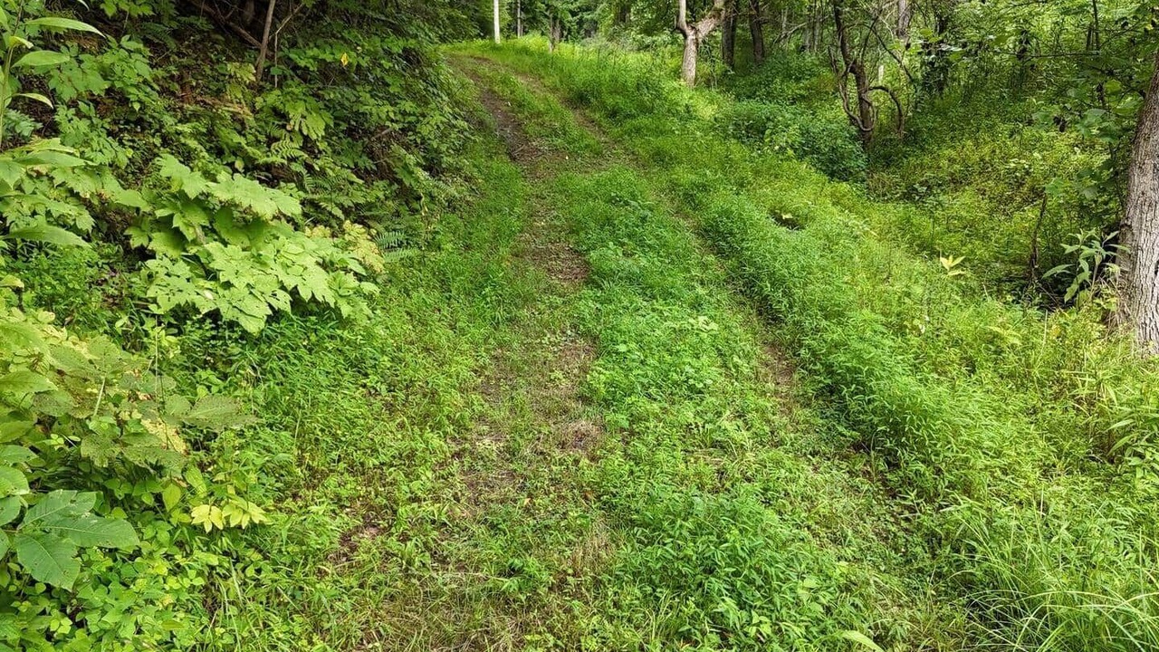 Photo of Others in Bakersville
