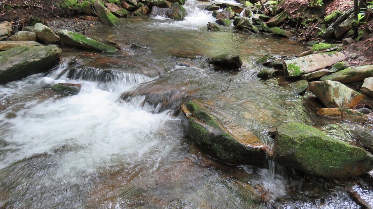 Photo of Others in Robbinsville
