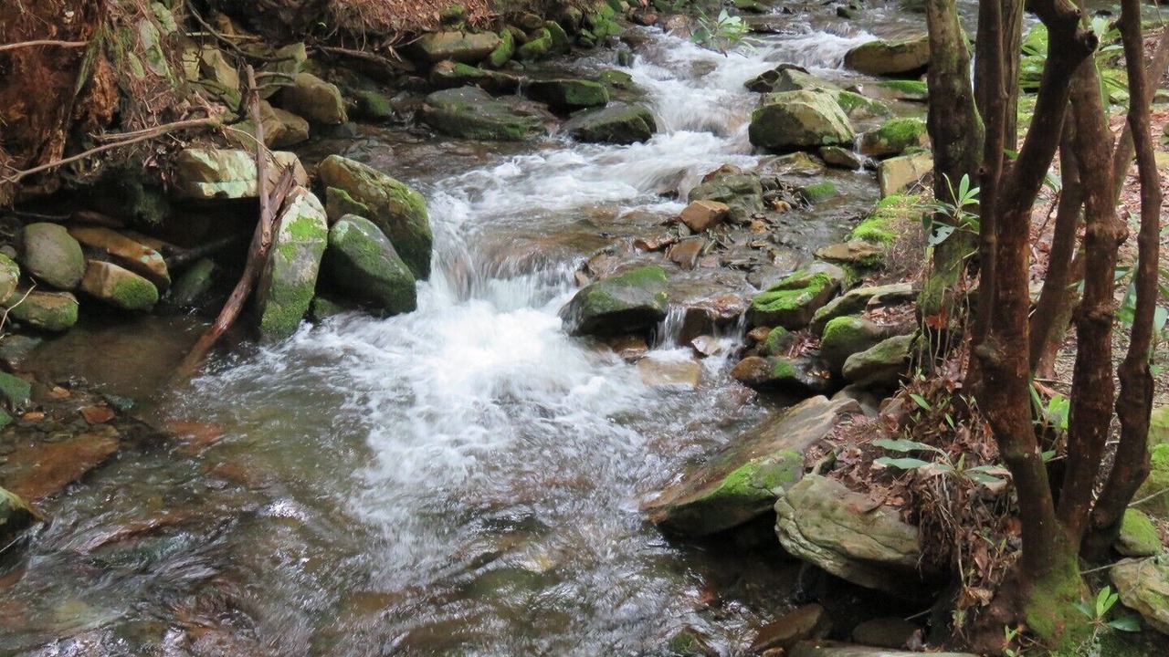 Photo of Outdoor in Robbinsville