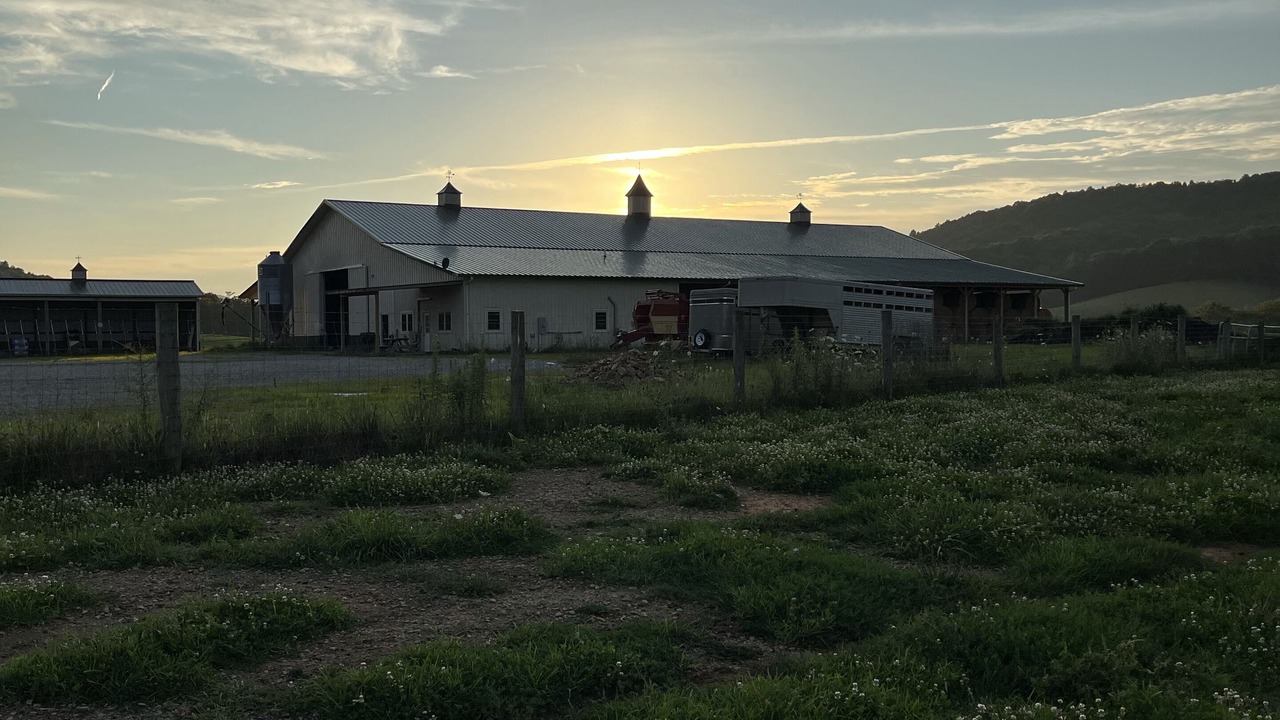 Photo of Outdoor in Elk Creek