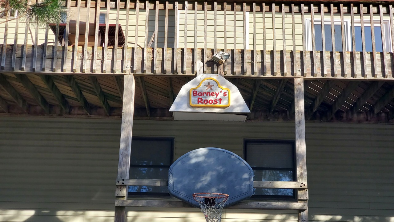 Photo of Outdoor in Duck