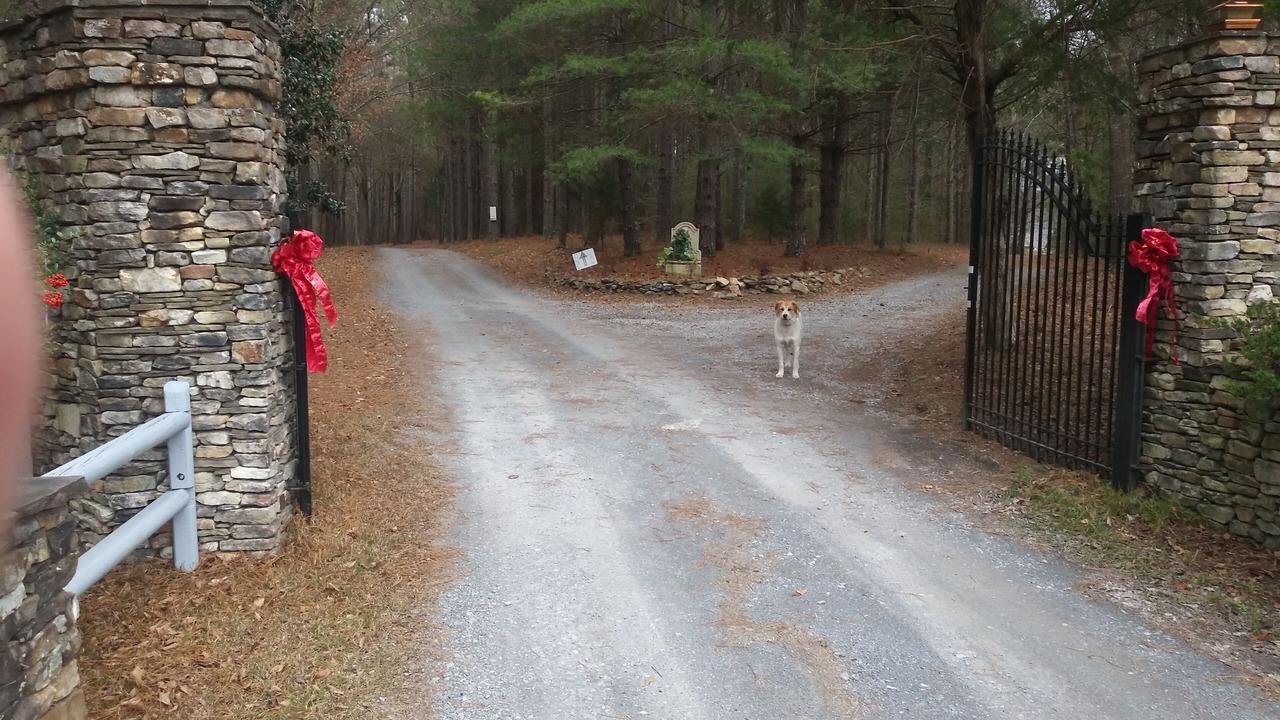 Photo of Outdoor in Rockmart