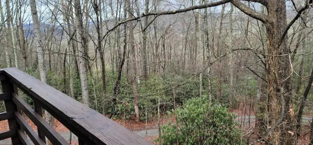 Photo of Patio Balcony in Fletcher