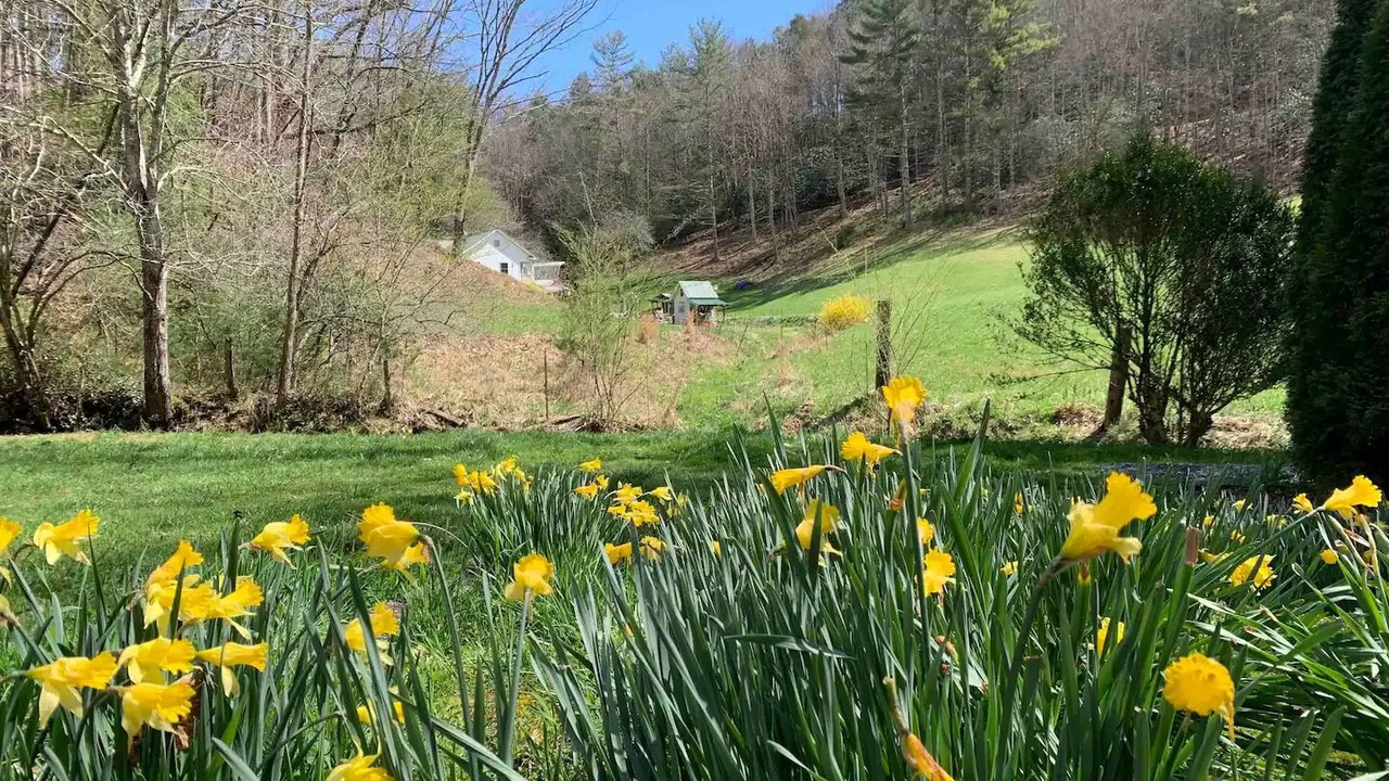 Photo of Outdoor in Burnsville